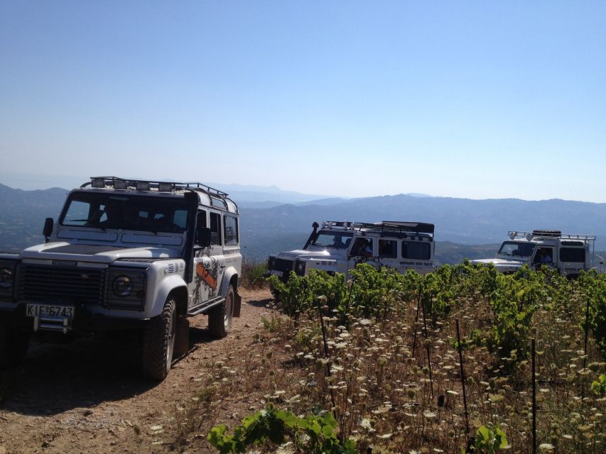 Private Exclusive Manousakis Winery and Vineyard Tour - Manousakis Winery: guided tour + craftsmanship you can taste