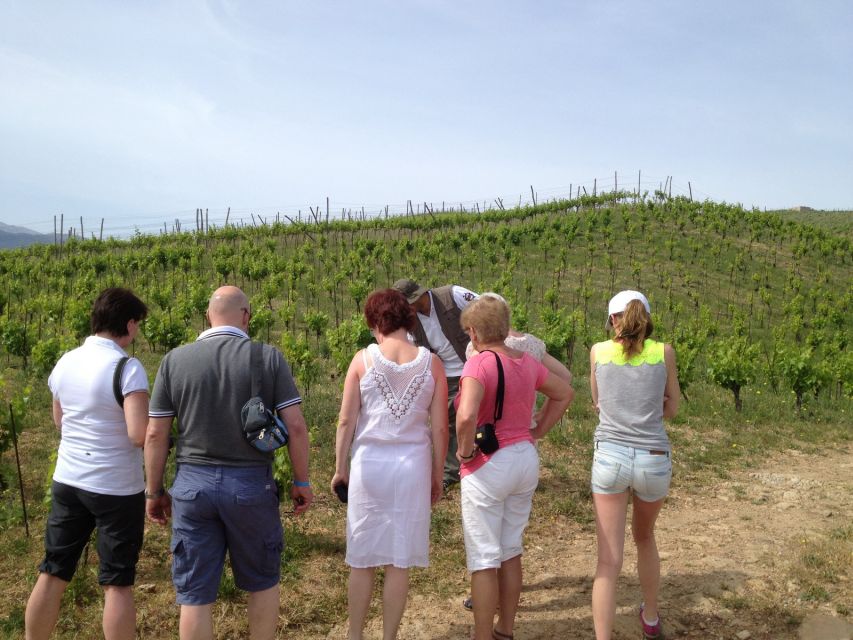 Private Exclusive Manousakis Winery and Vineyard Tour - The 5-wine tasting and Cretan lunch pairing