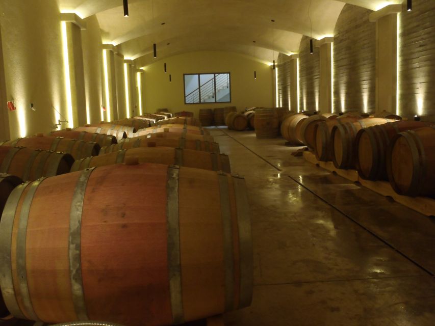 Private Exclusive Manousakis Winery and Vineyard Tour - Price and value: what you get for about $565 per group