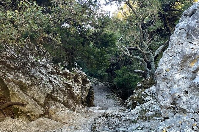 Private Hiking Tour in Imbros Gorge (Chania) - Who this tour suits best (and who should choose differently)