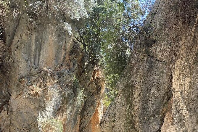 Private Hiking Tour in Imbros Gorge (Chania) - My booking checklist before you go