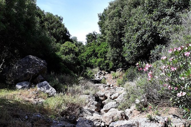 PRIVATE Hiking Walking GORGE nearby Hersonissos CRETE - Why the Aposelemis gorge feels more local than a standard day trip