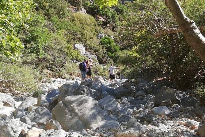PRIVATE Hiking Walking GORGE nearby Hersonissos CRETE - Wildlife and plant talk: what the guide adds beyond the trail