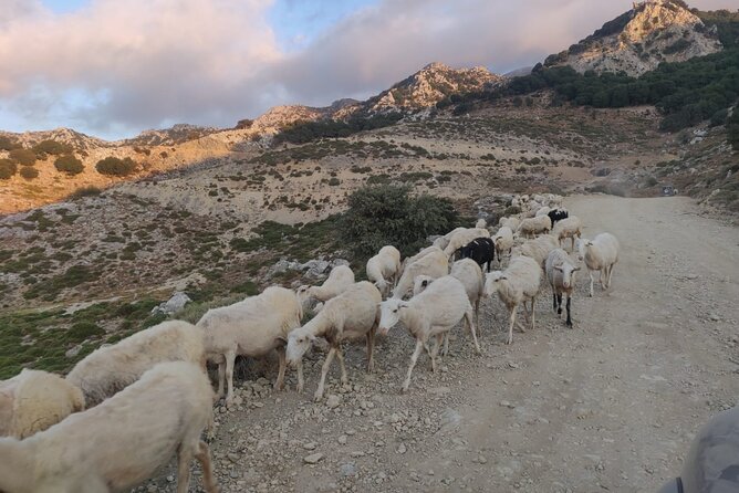 PRIVATE Jeep Safari 4x4 SUNSET (with Dinner) in Mountains CRETE - Price Check: Does This Jeep Sunset at $130.83 Feel Worth It?