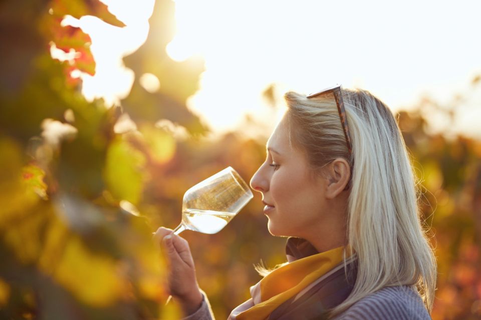 Private Knossos Skip The Line Tour inc. lunch & wine tasting - Knossos Skip the Line: The Day Starts Without the Hassle