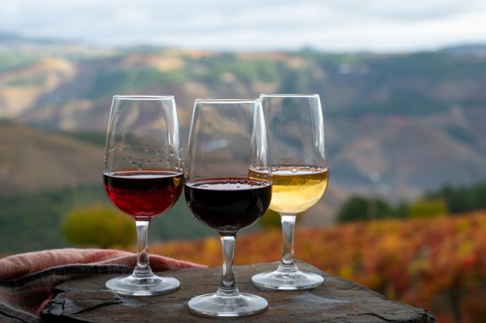 Private Knossos Skip The Line Tour inc. lunch & wine tasting - Who This Tour Is Best For (And Who Might Want Something Else)