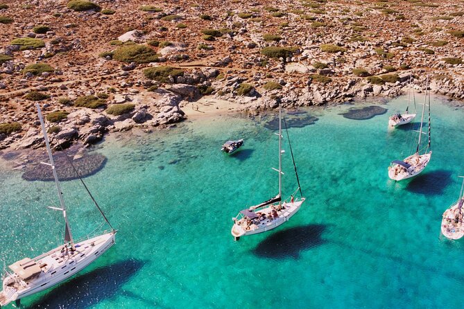 Private luxury Escape Sailing, Snorkel and Lunch Cruise - Snorkeling, fishing, and the dolphin bonus