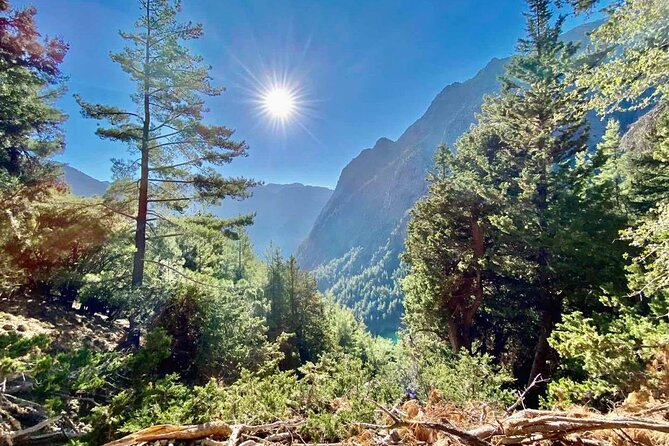 Private Roundtrip Transfer from Chania to Samaria Gorge Park - The gorge walk: what to expect once you’re dropped at the entrance