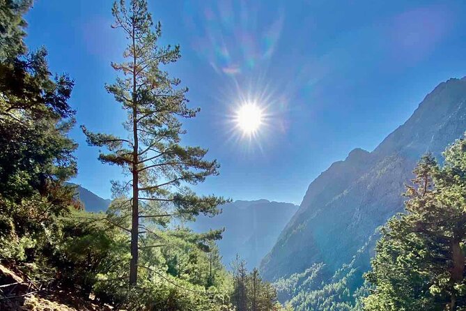 Private Roundtrip Transfer from Chania to Samaria Gorge Park - Return to Chania: no last-mile guessing