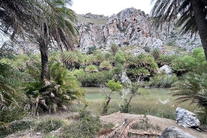 Private South Crete Full-Day Tour-Spili, Kourtaliotiko & Preveli - Getting there comfortably: pickup timing, car setup, and how the day runs