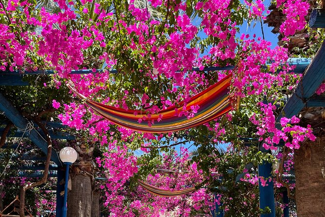 PRIVATE-South Crete-Matala Beach-Olive oil- Wine-Old Villages - Key Things I’d Book This For