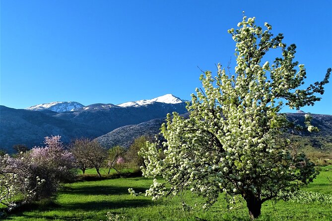 Private Tour-Authentic Villages of Lasithi Olive Oil and Wine - Psychro pottery: hands-on clay, not a drive-by