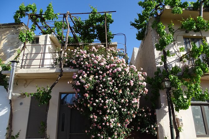 Private Tour-Authentic Villages of Lasithi Olive Oil and Wine - Agios Georgios: windmills again, plus that village feel