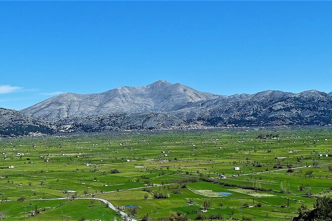 Private Tour-Knossos Palace Zeus Cave&Olive Oil Mill from Elounda - Coffee, Raki, and Cretan Cafeneio Life in Lasithi Mesa