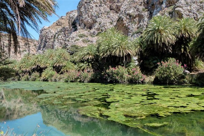 Private Tour Rethymno: Spili, Preveli, Kourtaliotiko, Old Town - Rethymno Old Town: narrow lanes, Venetian stone, and a harbor lunch moment
