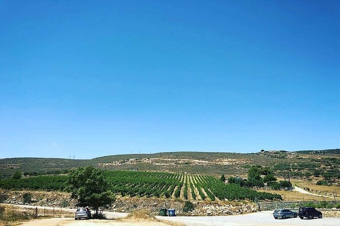 Private Tour: Soap, Olive Oil & Lyrarakis Winery with Lunch - Lunch in the 3–4 hour window: good food, but check the value