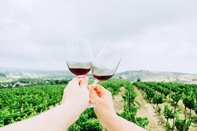 Private Tour: Soap, Olive Oil & Lyrarakis Winery with Lunch - English-language private service: good for questions