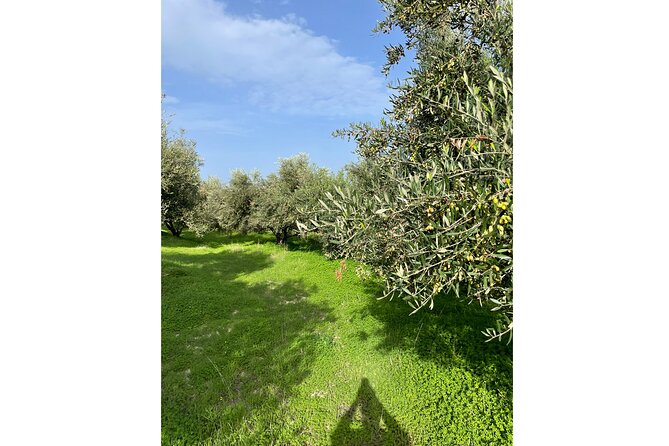 Private Traditional Olive Grove and Dragon Fruit Farm Tour - Practical tips so the farm day goes smoothly