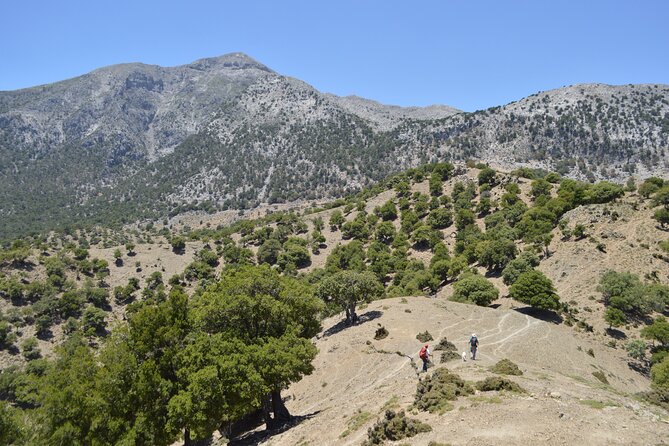 Private Trekking Rouvas Gorge - Key Highlights You’ll Care About on the Rouvas Gorge Trek