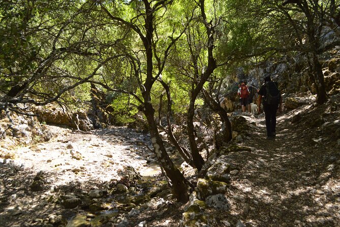 Private Trekking Rouvas Gorge - Ai Giannis Picnic Area: Toilets, Benches, Shelter, and a Real Snack Break