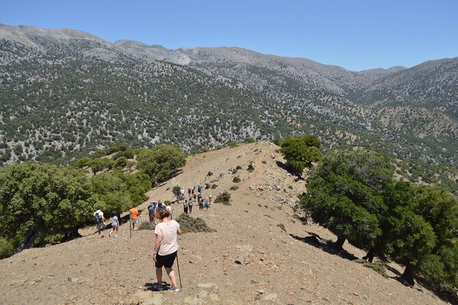 Private Trekking Rouvas Gorge - Price and Group Size: Is It Worth $591.46?