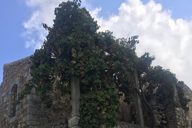 PRIVATE-Winery+Olive Oil Factory-Old Villages-Old Wind Mills - Raki and Small Bites: What You Actually Get Along the Way