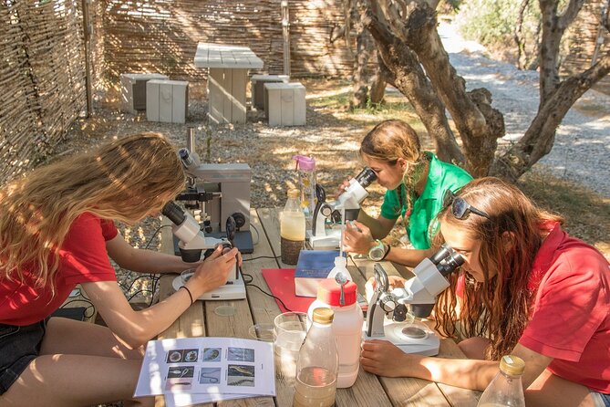 Research diving with a Marine Biologist in Crete - Underwater briefings: where the science actually gets practical