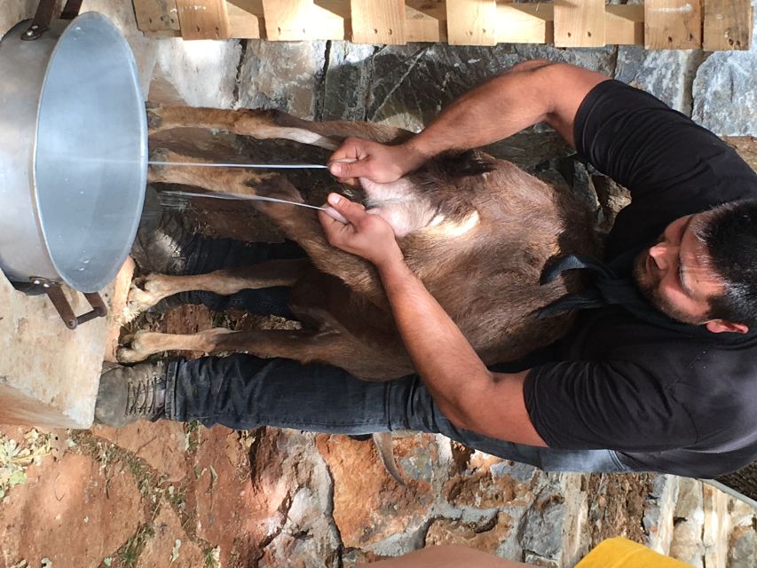 Rethymno 4x4 Safari: Tastes & Farm Experience - Key things that make this safari worth your time