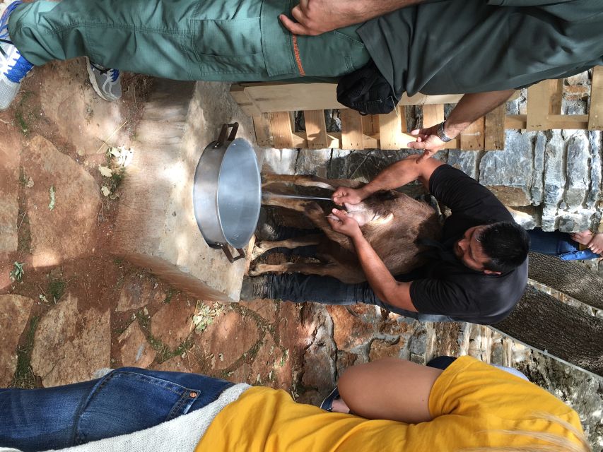 Rethymno 4x4 Safari: Tastes & Farm Experience - Klados Winery in Panormos: indigenous wine and a human guide
