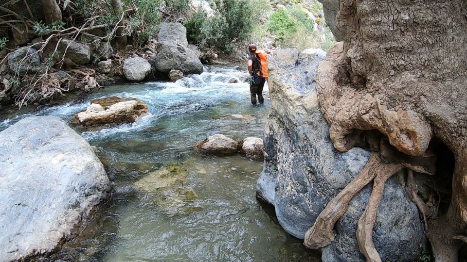 Rethymno: Canyoning Tour in the Kourtaliotiko Gorge - Price and real on-the-ground costs