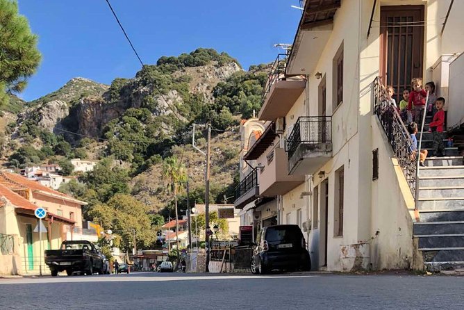 Rethymno Inland - Preveli Beach via Kourtaliotiko gorge: big views, beach time, and a change of tempo