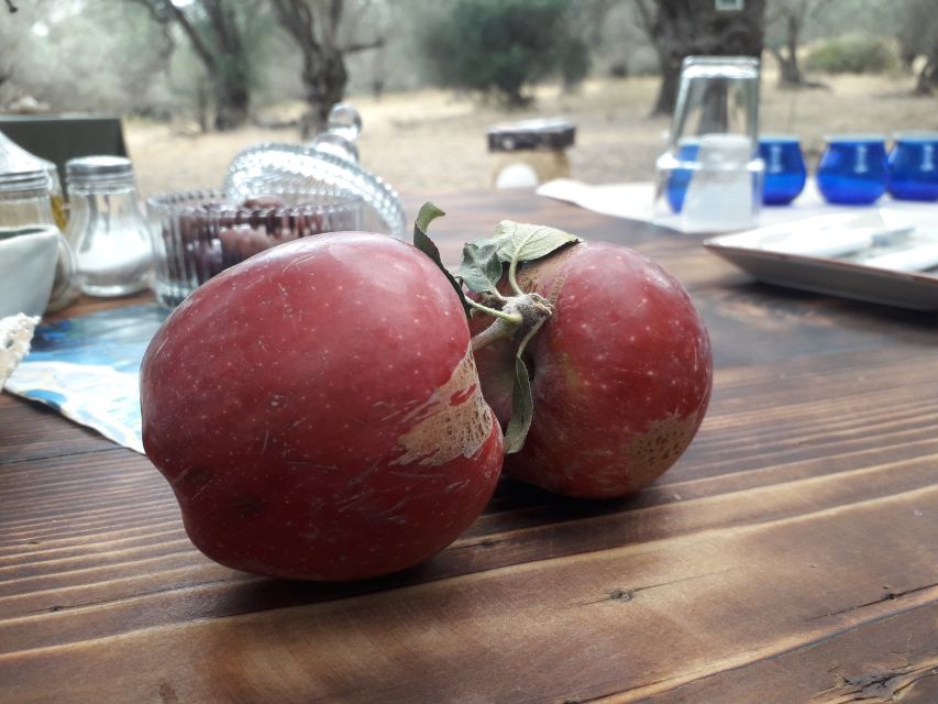 Rethymno: Olive Oil Tasting with Cretan Food Pairing - Who this Rethymno olive oil tasting is best for