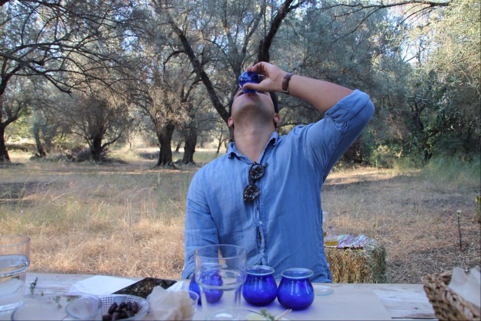 Rethymno: Olive Oil Tasting with Cretan Food Pairing - Harvest and extraction: the production lesson you can actually use