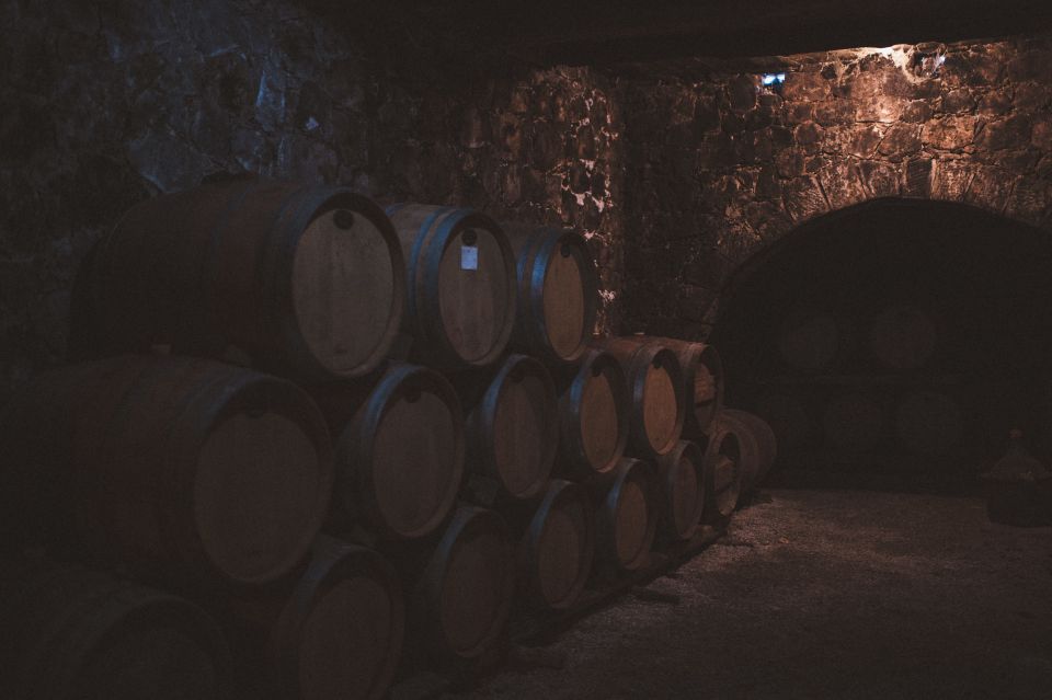 Rethymno: Private Winery & Olive Oil Tasting Tour with Lunch - What makes Cretan virgin olive oil taste the way it does