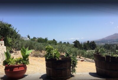 Rethymno: Private Winery & Olive Oil Tasting Tour with Lunch - Kanakis olive oil mill: where the day makes sense