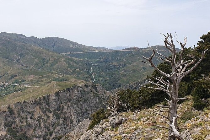 Rethymno Tour - VIP Private Tour - What you should pack and plan for (so the day feels easy)