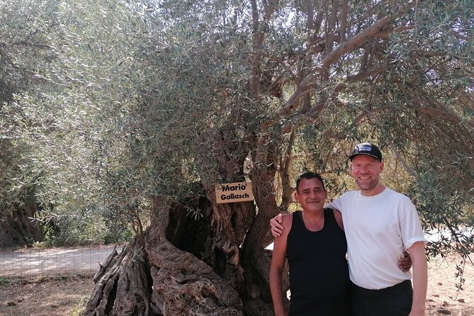 Rethymnon Olive Tree Sponsorship Protect and Plant Tour - Olive grove sponsorship in Crete: the feel of this 2.5-hour experience
