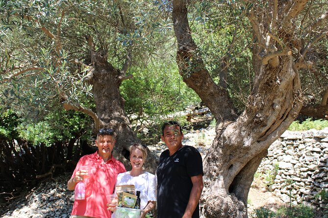 Rethymnon Olive Tree Sponsorship Protect and Plant Tour - Planting with the Cretan Lazarus project: gene pool cuttings and preservation