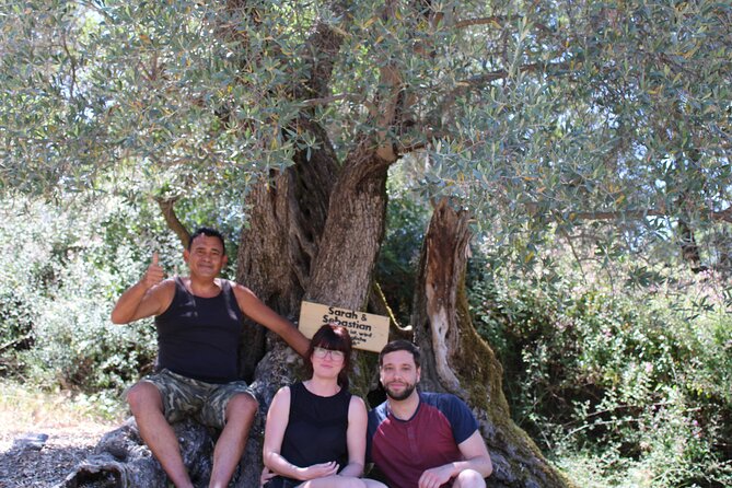 Rethymnon Olive Tree Sponsorship Protect and Plant Tour - What you’ll do on the ground (a realistic step-by-step)
