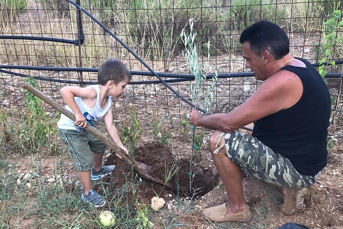 Rethymnon Olive Tree Sponsorship Protect and Plant Tour - Price and value: $141.78 for a private, purpose-led day