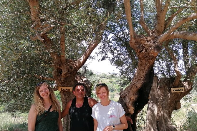 Rethymnon Olive Tree Sponsorship Protect and Plant Tour - Who this is best for (and who might want a different option)