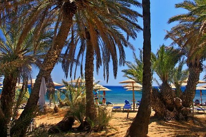 RIVIERA - Vai Palm Beach, Toplou Monastery - Key highlights to look for