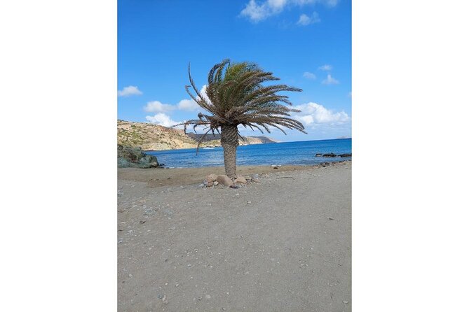 RIVIERA - Vai Palm Beach, Toplou Monastery - Toplou Monastery: museum pieces, olive press, and optional tasting