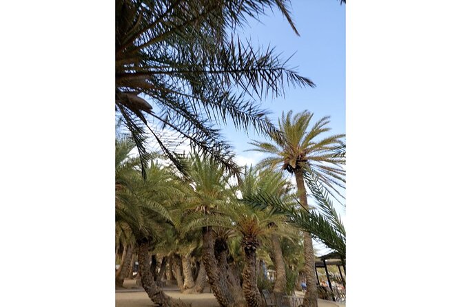RIVIERA - Vai Palm Beach, Toplou Monastery - Vai palm forest and the beach break you came for