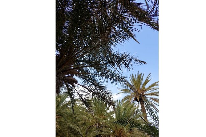 RIVIERA - Vai Palm Beach, Toplou Monastery - Lunch and drinks: included, and actually useful
