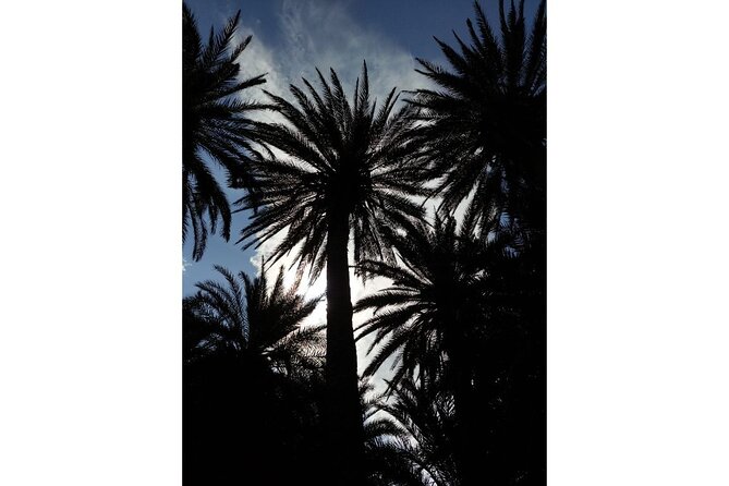RIVIERA - Vai Palm Beach, Toplou Monastery - Price and logistics: where the $107.17 feels fair