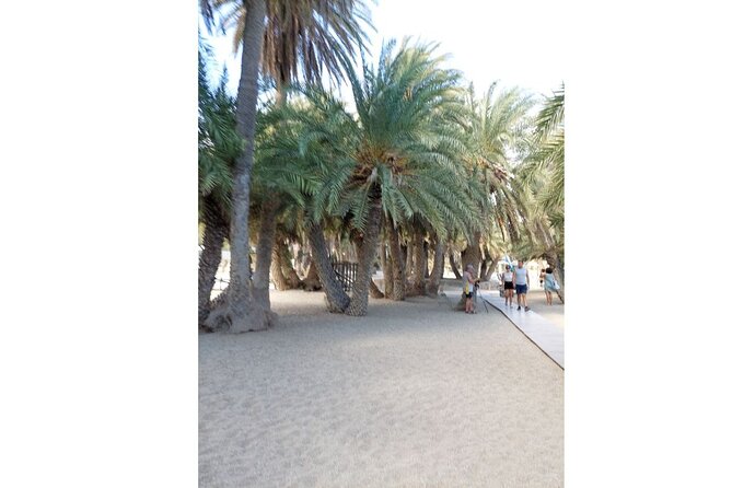 RIVIERA - Vai Palm Beach, Toplou Monastery - Who should book this tour (and who might rethink it)