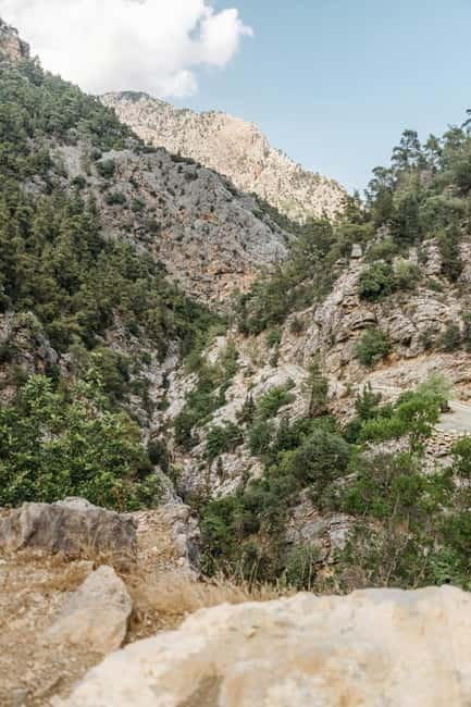SAMARIA GORGE Full-Day Trip from CHANIA - Omalos to the Gorge: Expect Streams, Shade, and a Steady Descent