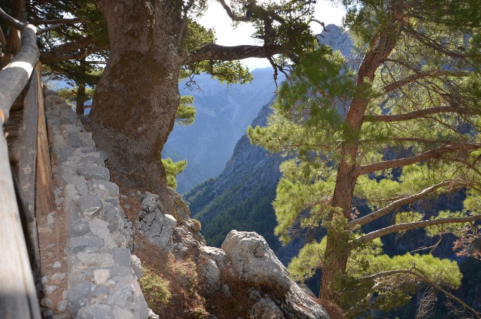 Samariá Gorge Hike: Day Excursion from Chania - Why Samariá Gorge is worth the effort (and what makes it different)