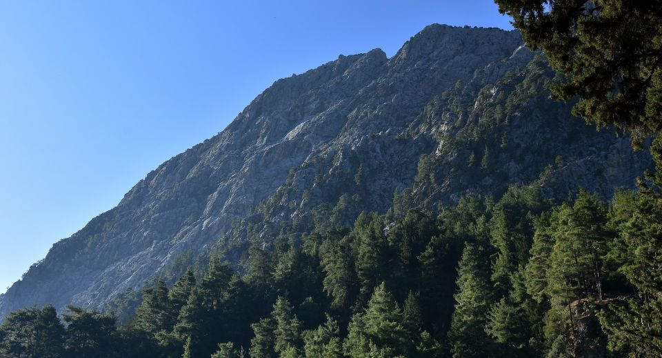 Samariá Gorge Hike: Day Excursion from Chania - Tackling the 18 km walk: what the terrain does to your body